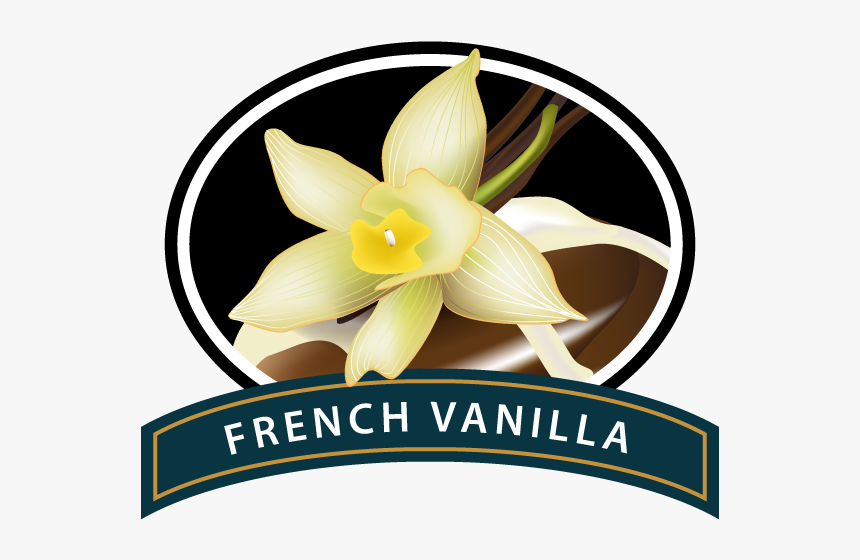 French Vanilla Clip Art, HD Png Download, Free Download