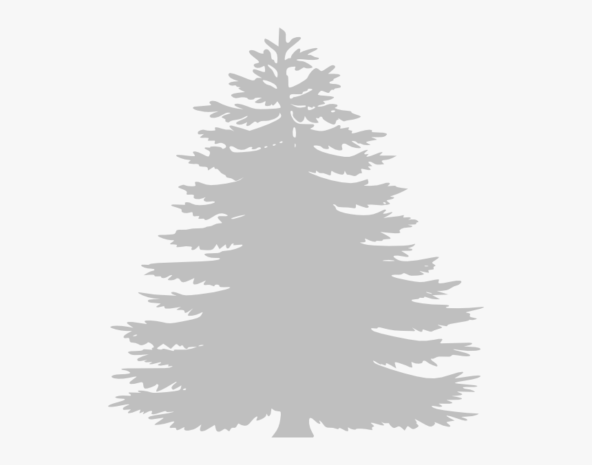 White Pine Tree Clip Art, HD Png Download, Free Download