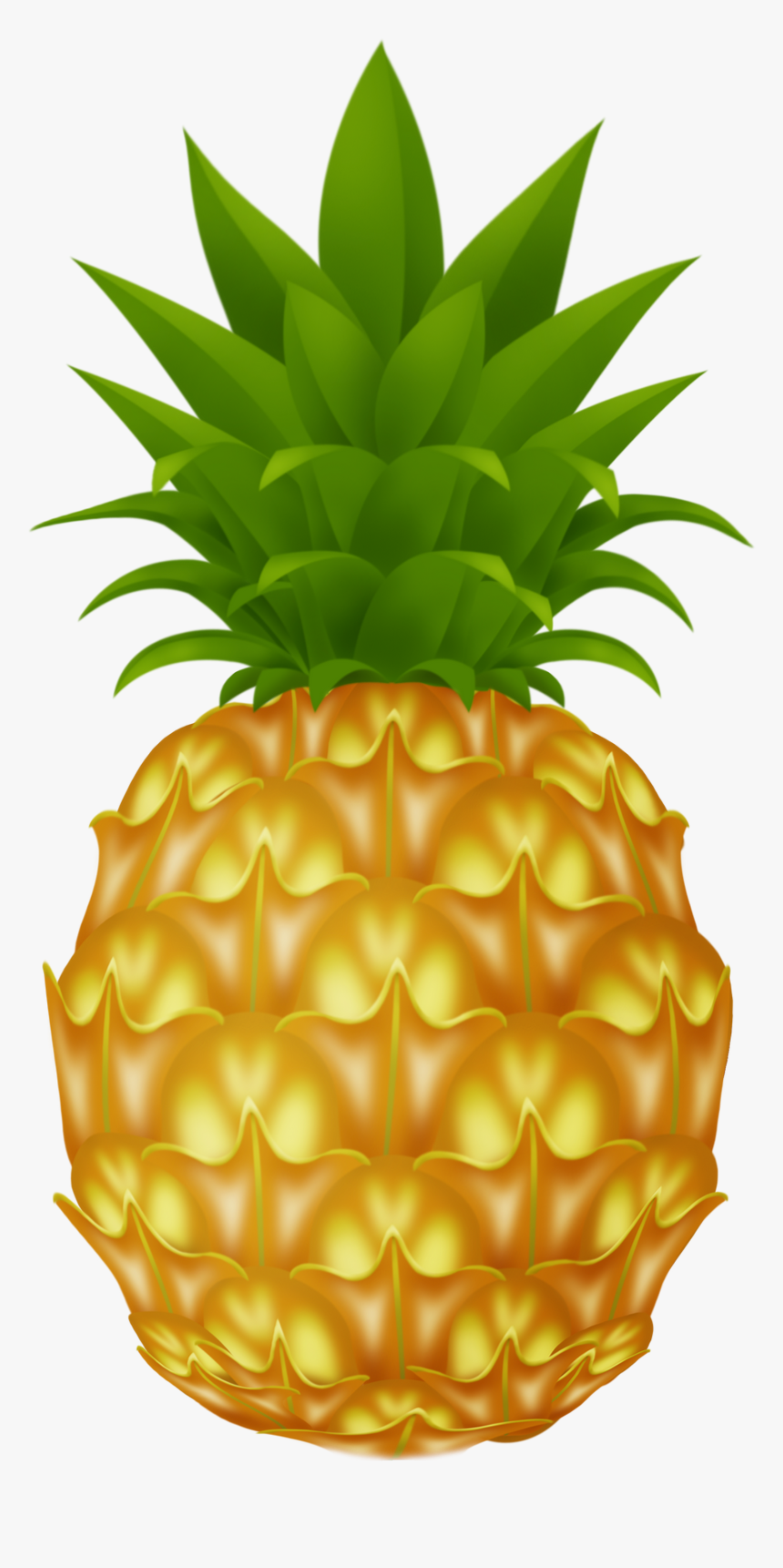 Pineapple Png Image - Pineapple Clipart Png, Transparent Png, Free Download