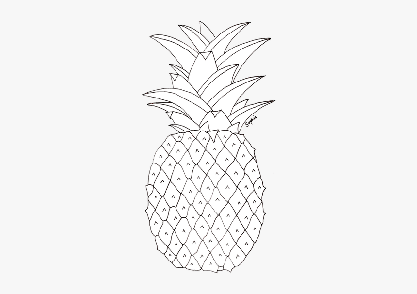 White Pineapple Transparent Background, HD Png Download, Free Download