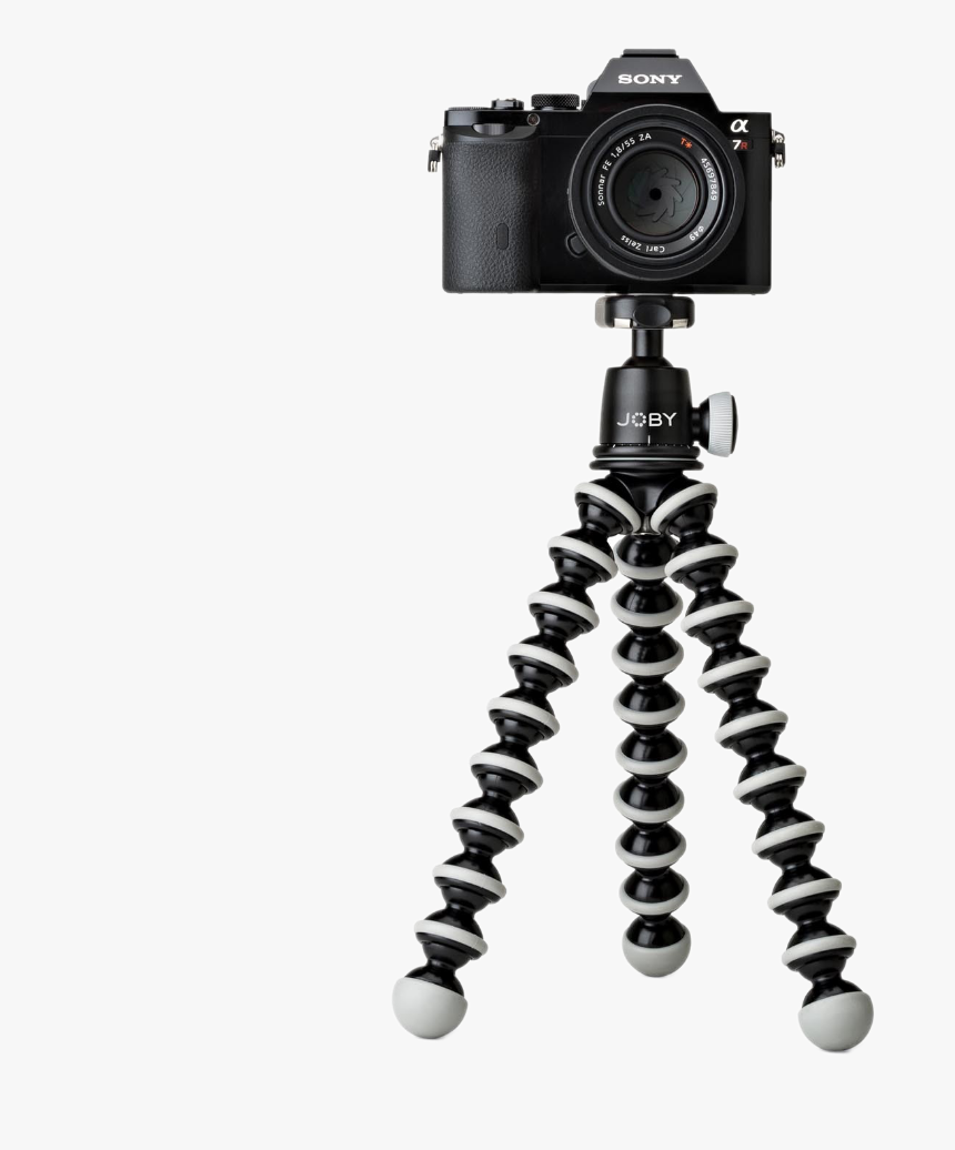 Transparent Camera Tripod Clipart - Vlog Camera With Flip Screen And Tripod, HD Png Download, Free Download