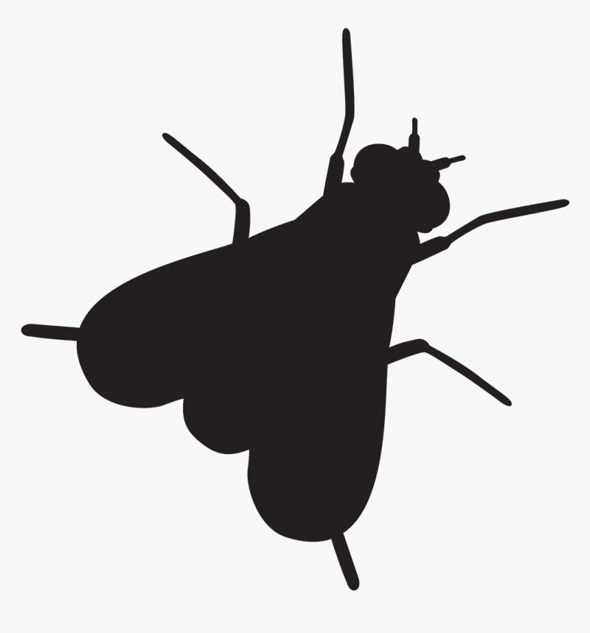 Flies Black And White Png, Transparent Png, Free Download