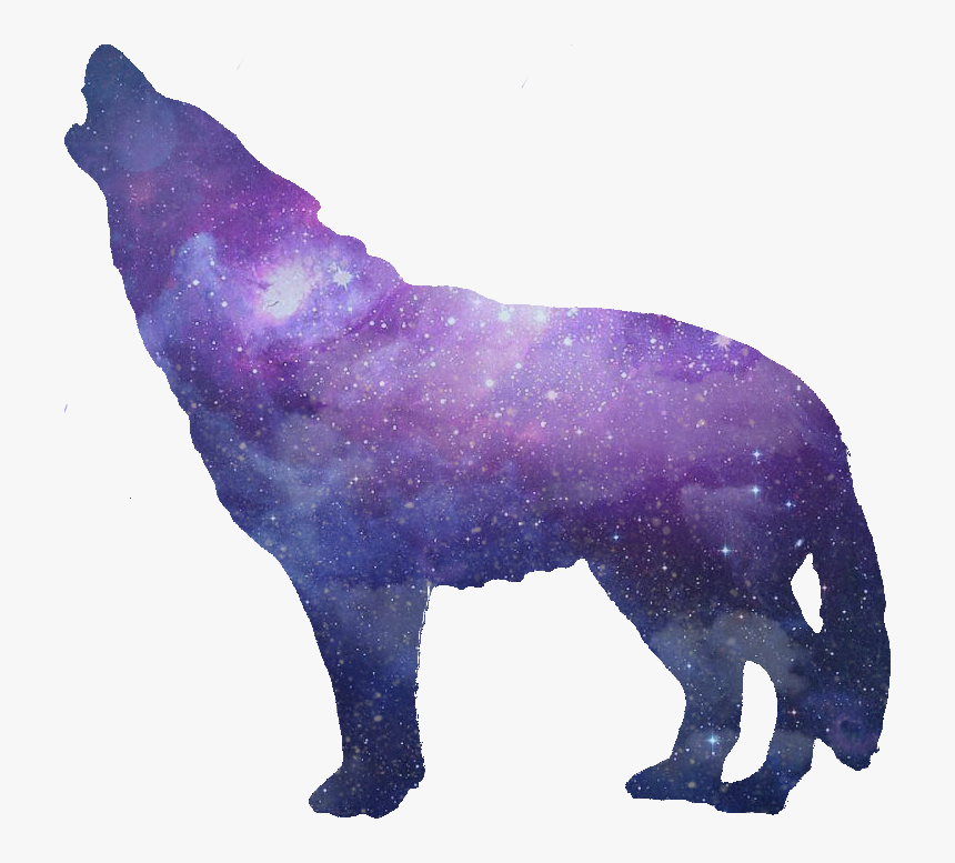 Transparent Purple Tumblr Png - Wolf Tumblr Png, Png Download, Free Download