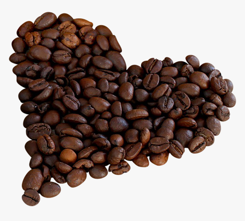 Single Coffee Bean Png - Png Clipart Coffee Beans Png, Transparent Png, Free Download