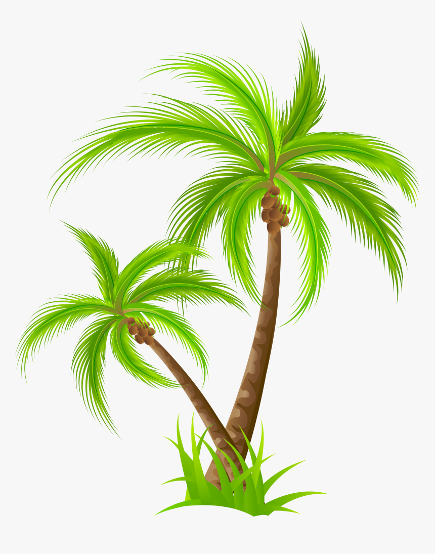 Palm Png Clip Art - Palm Trees Clipart Png, Transparent Png, Free Download